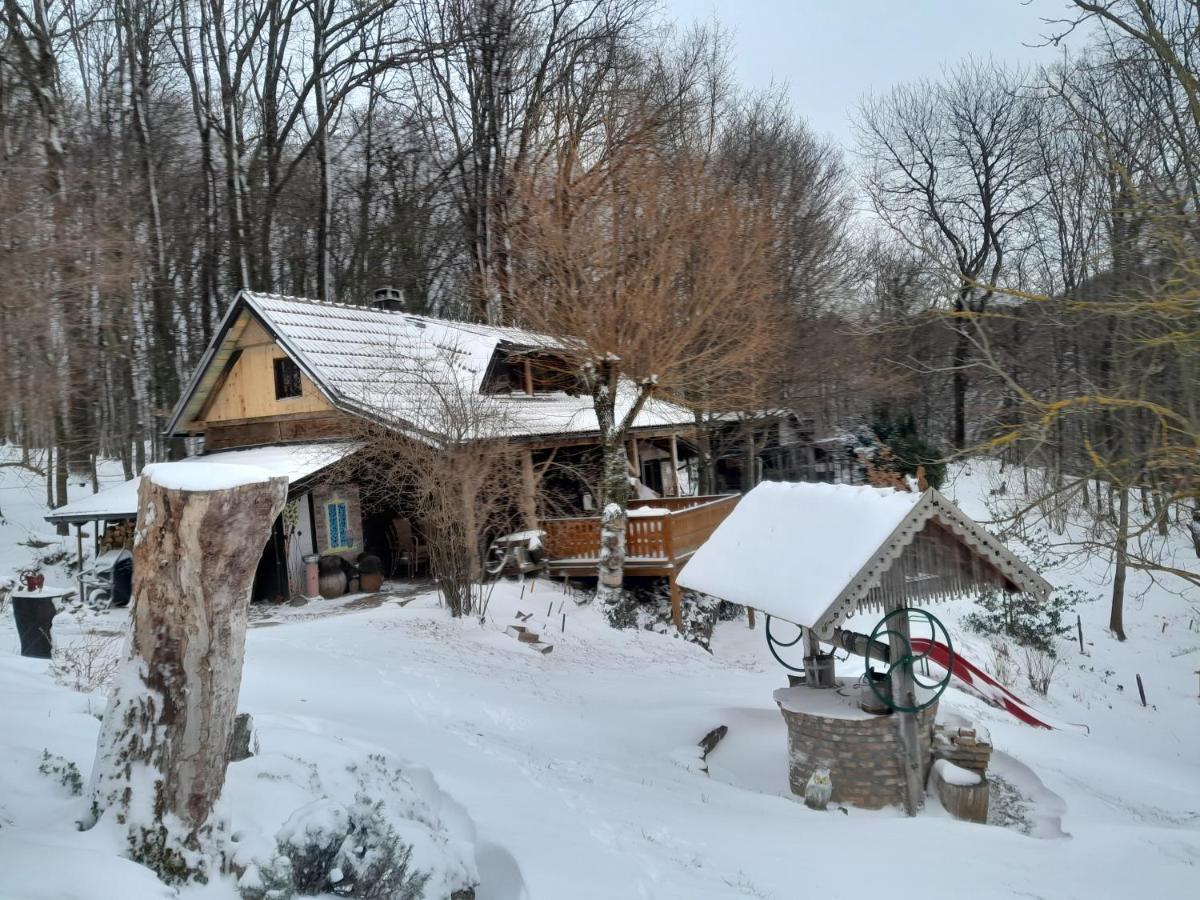 Country House With A Pool In Medvednica Nature Park Ζάγκρεμπ Εξωτερικό φωτογραφία