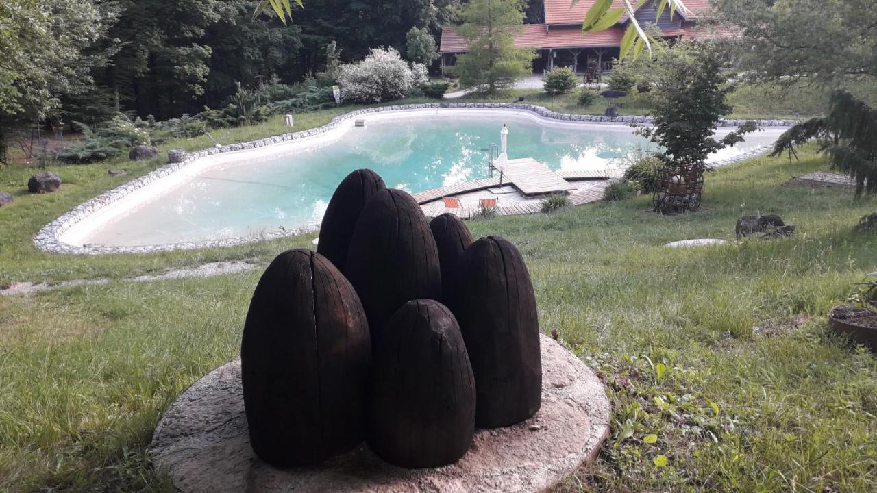 Country House With A Pool In Medvednica Nature Park Ζάγκρεμπ Εξωτερικό φωτογραφία